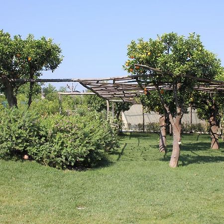 Terra E Cielo Acomodação com café da manhã Pagani Exterior foto